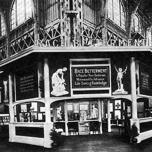 1915 Panama Pacific Expo Films: San Francisco World&#39;s Fair - 9 alte Filme auf DVD