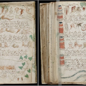 Tajemniczy Voynich - Starożytny dziwny rękopis Szyfr Kryptografia Kryptoanaliza Nierozwiązany kod Tajemnica Ilustracje - Pobieranie cyfrowe
