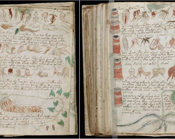 The Mysterious Voynich - Ancient Strange Manuscript Cipher Cryptography Cryptanalysis Unsolved Code Mystery Illustrations – Digital Download