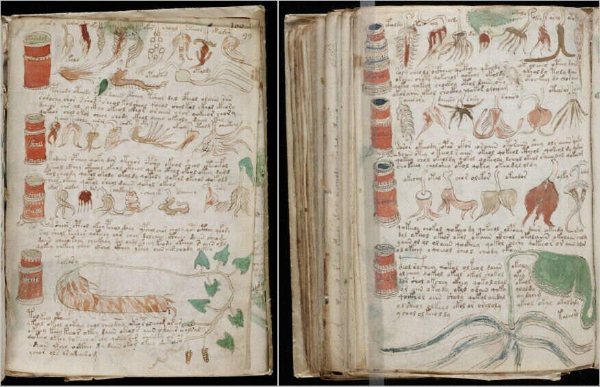 ヴォイニッチ手稿　ハードカバー　the Voynich Manuscript ヴォイニッチ手稿（Voynich Manuscript）