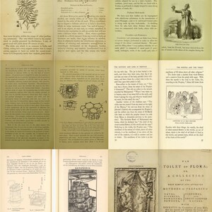 K&ouml;nnte beinhalten: Ein Vintage-Buchcover mit einer Illustration einer Frau in einem flie&szlig;enden Kleid, die einen Blumenstrau&szlig; h&auml;lt. Der Titel des Buches lautet "Toilette der Flora; oder, Eine Sammlung der einfachsten und bew&auml;hrtesten Methoden zur Herstellung von B&auml;dern, Essenzen, Parf&uuml;ms, wohlriechenden Pulvern, mit Rezepten f&uuml;r Kosmetika aller Art, die die Haut unterst&uuml;tzen und versch&ouml;nern, ihr Gesundheit und Teint verleihen und sie vor Alter und Verfall bewahren k&ouml;nnen."
