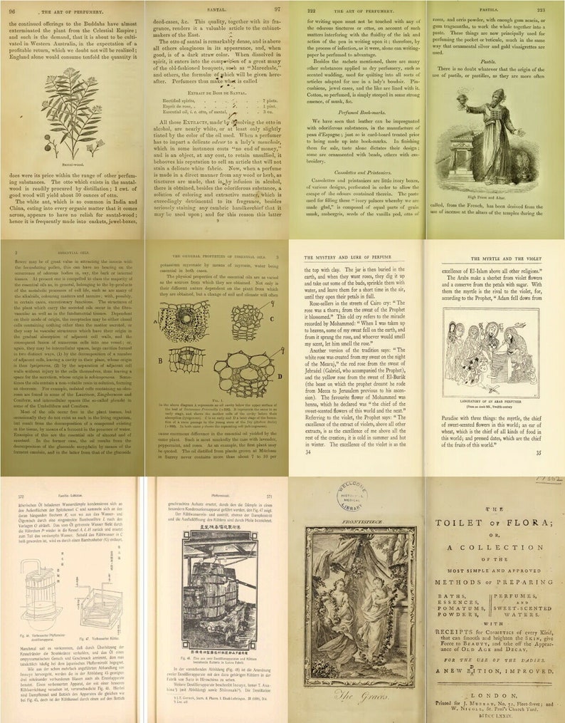K&ouml;nnte beinhalten: Ein Vintage-Buchcover mit einer Illustration einer Frau in einem flie&szlig;enden Kleid, die einen Blumenstrau&szlig; h&auml;lt. Der Titel des Buches lautet "Toilette der Flora; oder, Eine Sammlung der einfachsten und bew&auml;hrtesten Methoden zur Herstellung von B&auml;dern, Essenzen, Parf&uuml;ms, wohlriechenden Pulvern, mit Rezepten f&uuml;r Kosmetika aller Art, die die Haut unterst&uuml;tzen und versch&ouml;nern, ihr Gesundheit und Teint verleihen und sie vor Alter und Verfall bewahren k&ouml;nnen."