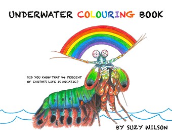 mantis shrimp print etsy
