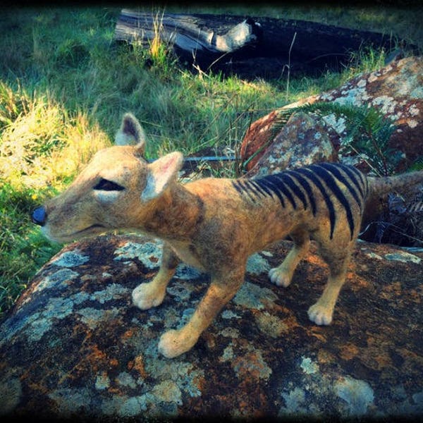 Tasmanian Thylacine, Tassie Tiger, needle felt sculpture made in Tasmania, OOAK