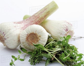 Garlic and Herb seasoning ( organic)