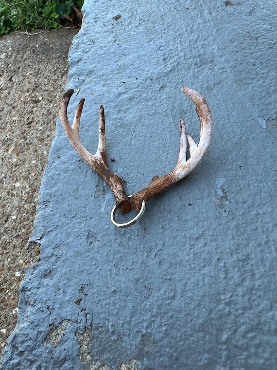 MOLD'S限定 old mountain DEER HORN KEYRING