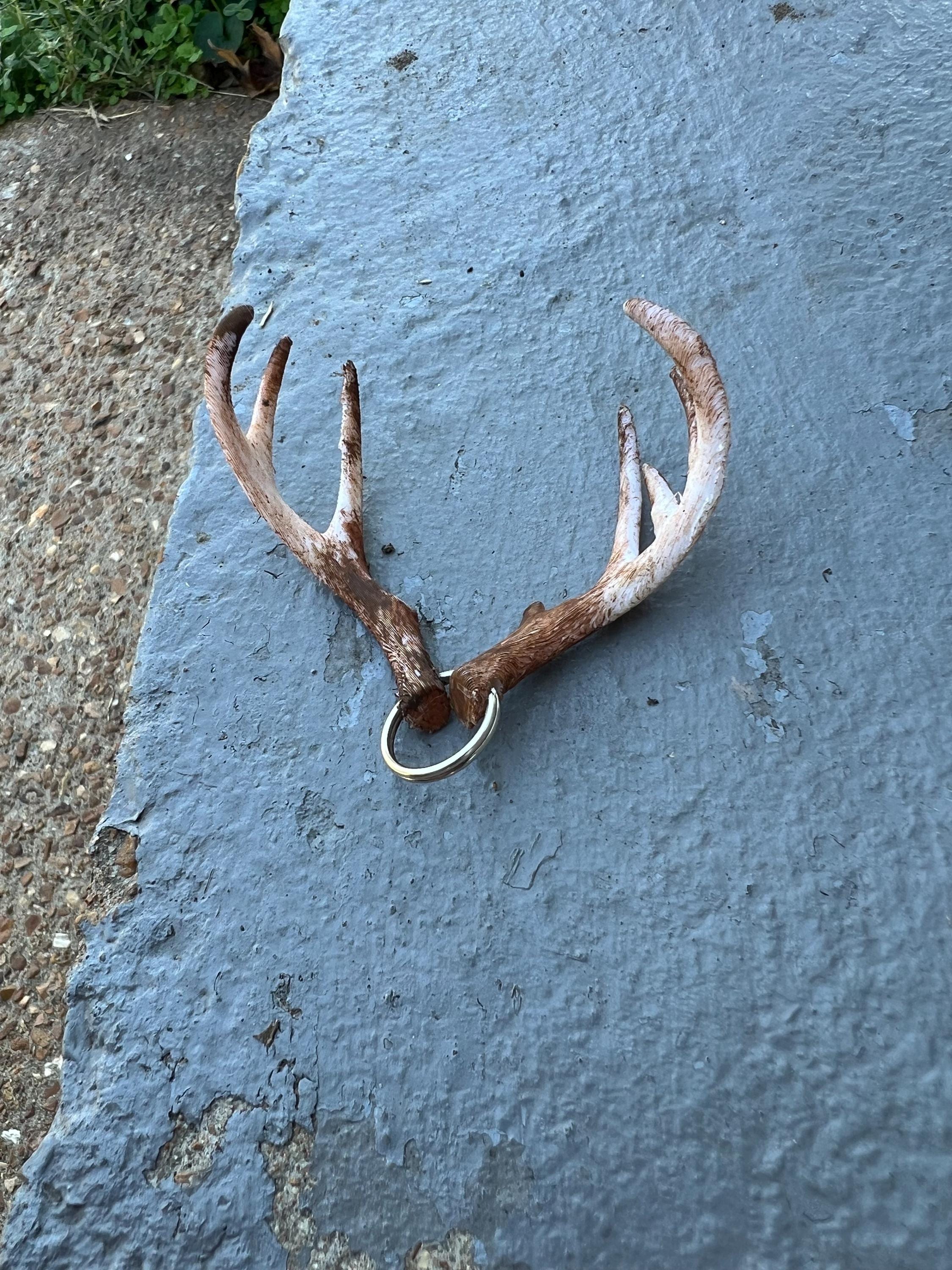Ned Antlers Keychain - Etsy Canada