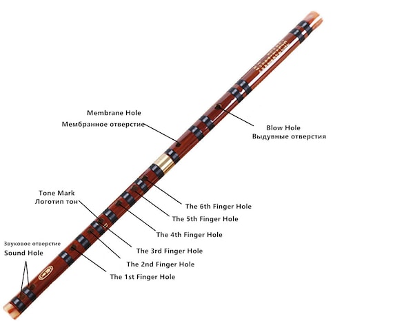 Buy 1 Pc Chinese Bamboo Flute Professional Woodwind Flutes Musical