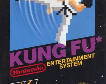 Kung Fu NES Great Condition Fast Shipping