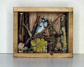Bird Box, Woodland Scene, Blue Jay, Assemblage Art, Wall Hanging Ornament