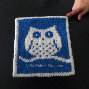 Cute Owl Potholder Knitting Pattern - Puffy Owl Potholder [ENGLISH ONLY]