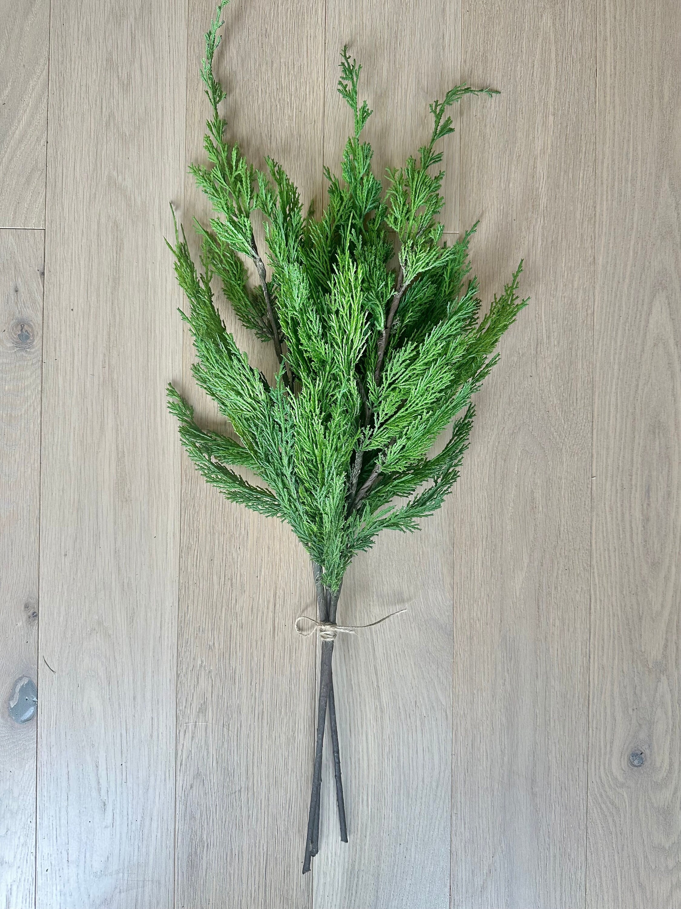 Pine Branches / Green Dried Antlers Pine 2-5 Stems / Preserved
