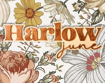 Boho Name Sign Nursery, Girl Nursery Name Sign, Custom Wood Name Sign for Nursery Decor Girl or Boy, Baby Shower Gift