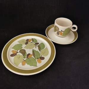 Coffee set Rosenthal studio line Terra Garda Green Coffee service Vintage Porcelain cup