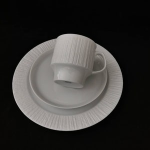 Thomas Porcelain Place Setting ARCTA white bisquit bark edge white Arcta 3-piece cup saucer cake plate