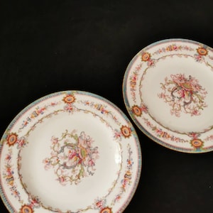2 ancient porcelain plates vintage wall plates collection plates Cauldon antique England