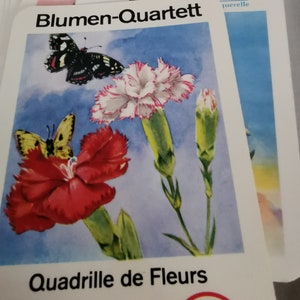 Quartett Blumen Vintage Spielkarten ASS Nr. 3102 Kartenspiel Quartettspiel Bild 2