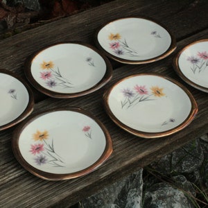 6x plate set dip bowls coasters 50s