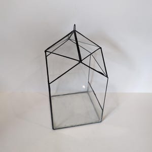 Può includere: Terrario geometrico in vetro con cornice in metallo nero. Il terrario ha una forma pentagonale con un coperchio incernierato e un anello per appenderlo. Il vetro trasparente consente la piena visibilità del contenuto.