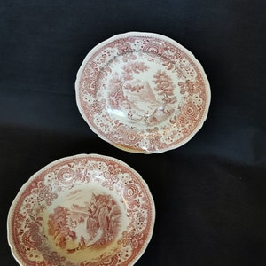 Burgenland Villeroy and Boch Mettlach Vintage V&B Burgenland dinner plate and soup plate 1x each