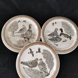 Thomas Porcelain Plate Wall Plate Collector Plate Stock Dove Pheasant Mallard Thomas Germany 26 cm