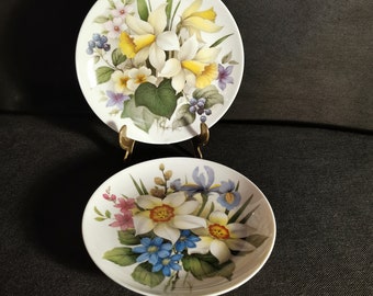 2 Porzellan Sammelteller Teller Design Bild Bilder Deko AK Kaiser Botanik