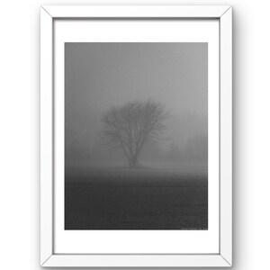 Fine Art Photography Black and white