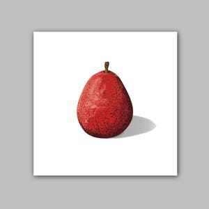 Red Anjou Pear - Still Life