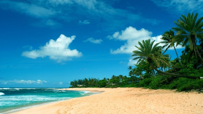 Hawaiian Beach image 1