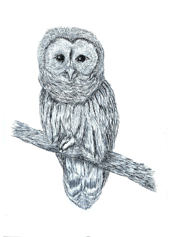 Stodoła Sowa Biro Ink Ołówek Rysunek Rysunku One Off Original Etsy