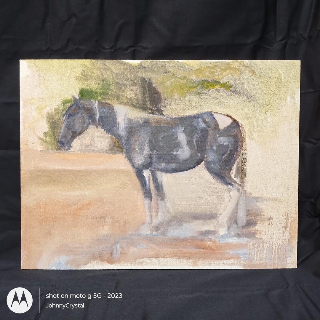 Maureen Riley Artist Oil Painting Equestrian Horse Study Portrait Estate Maureen Riley MI ...