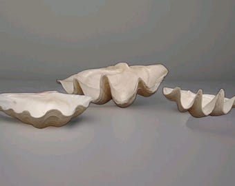 Set 3 vtg giant clam gigas 19" others 13" and 12" selling estate collection