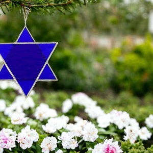 May include: A blue glass Star of David ornament hanging from a pine tree branch. The ornament is surrounded by a blurred background of green foliage and white flowers.