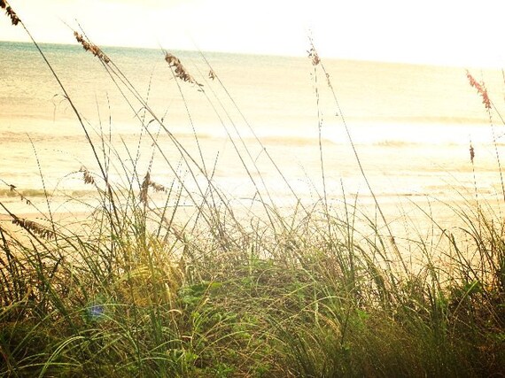 Beach Grass Nature Image Beach Decor Cottage Beach House Etsy