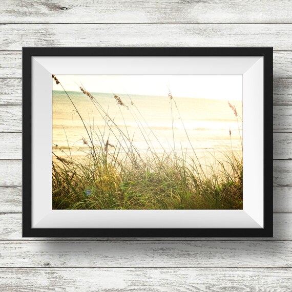 Beach Grass Nature Image Beach Decor Cottage Beach House Etsy