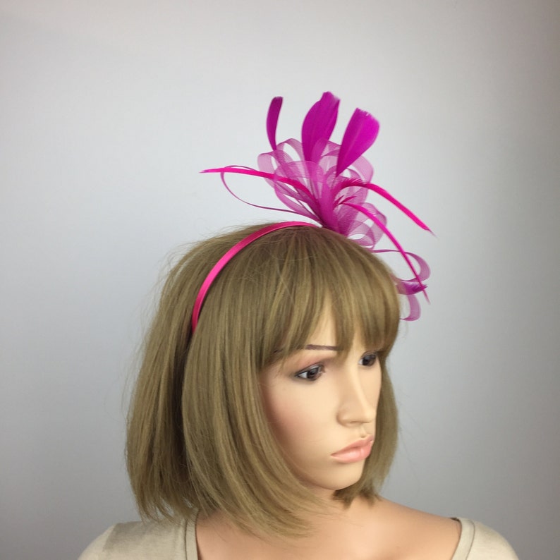 May include: A pink headband with a pink feather and tulle flower accent.