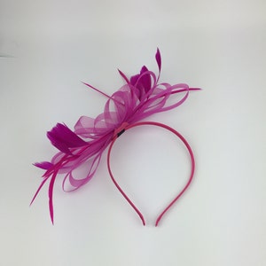 May include: A pink headband with a large pink bow and feathers.