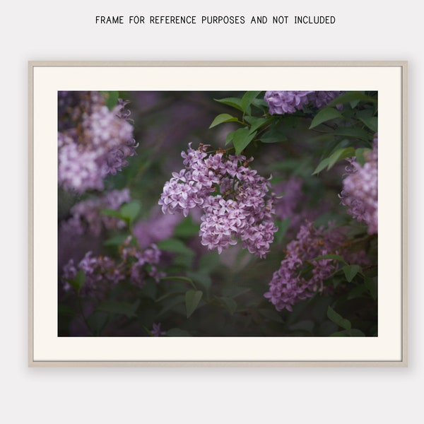 Large Wall Flower Decor Etsy