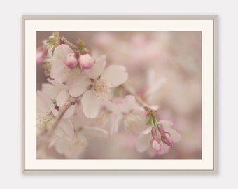 Vintage Style Pastel Pink Botanical Art Print | Floral Photo Antique Style Look | Romantic Pink Botanical Art | Large Floral Art