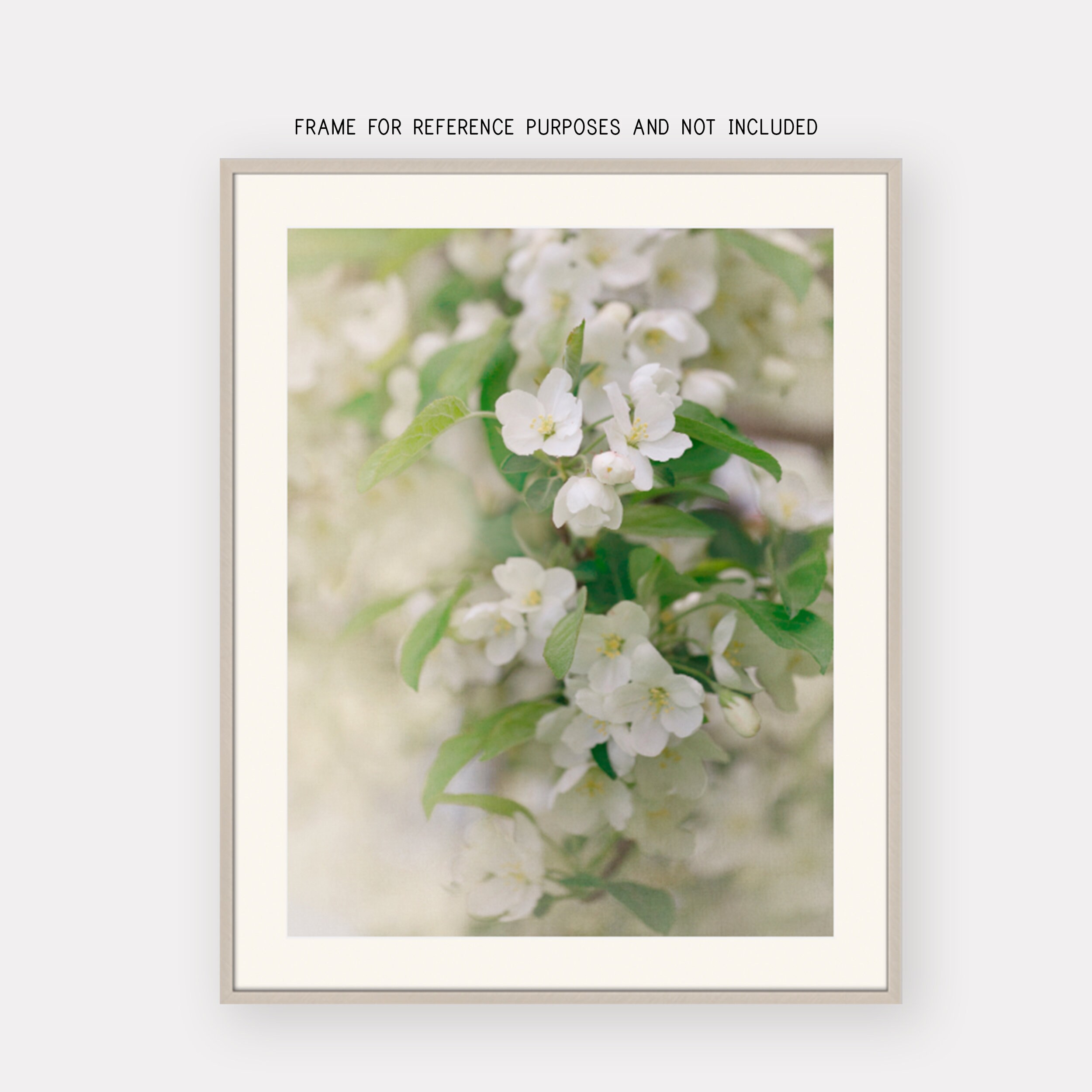 Sage and Cream Floral Wall Art Shabby Chic Light Green Etsy