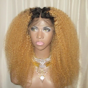 Essence Wigs Fro Majesty Ombre Golden Blonde Lace Front Wig 100