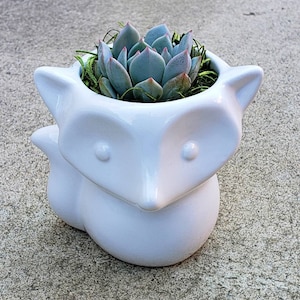 May include: A white ceramic fox planter with a succulent plant inside. The planter has a rounded body and a pointed snout with two small black eyes.