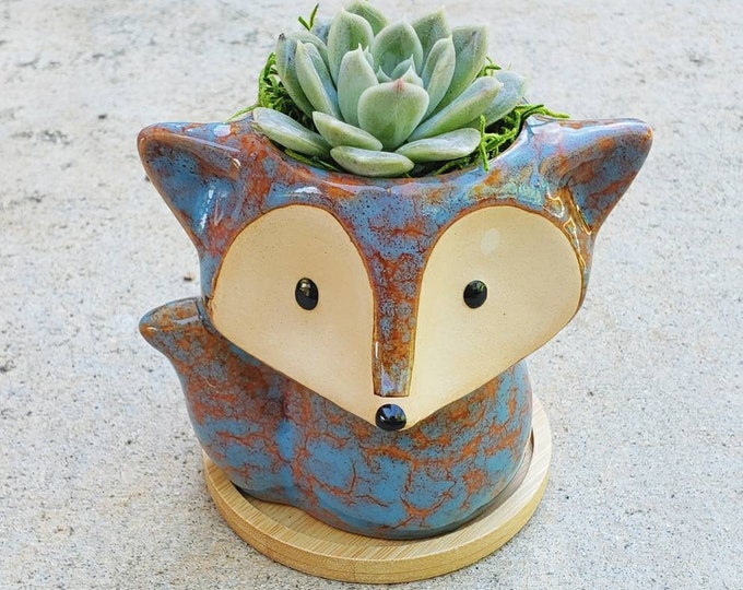 Brown/ blue fox animal planter pot with living real succulent ( birthday, gift, animal lover)