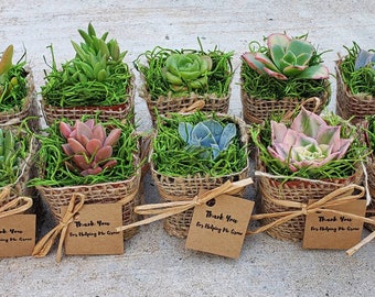Rustic Burlap Wrapped Succulent Favors with Custom Tags