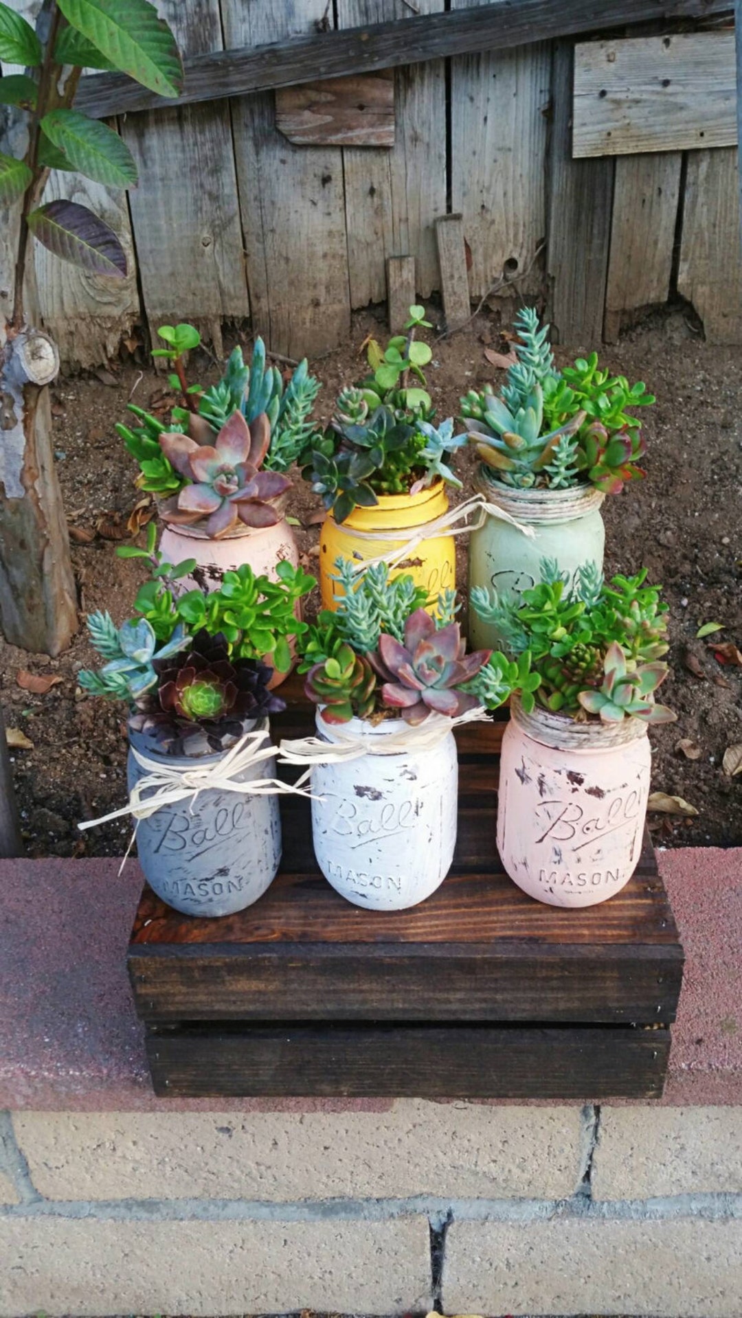 Rustic Mason Jar Succulent Arrangement: Painted Centerpiece, Custom Color -  Etsy