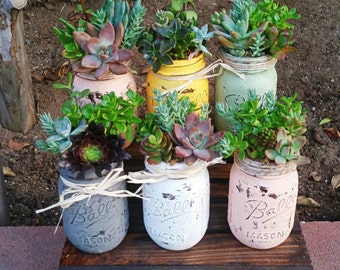 Super cute rustic mason jar living succulent arrangement centerpiece ( wedding/ gift/ showers/ birthdays) customize I can paint any color!