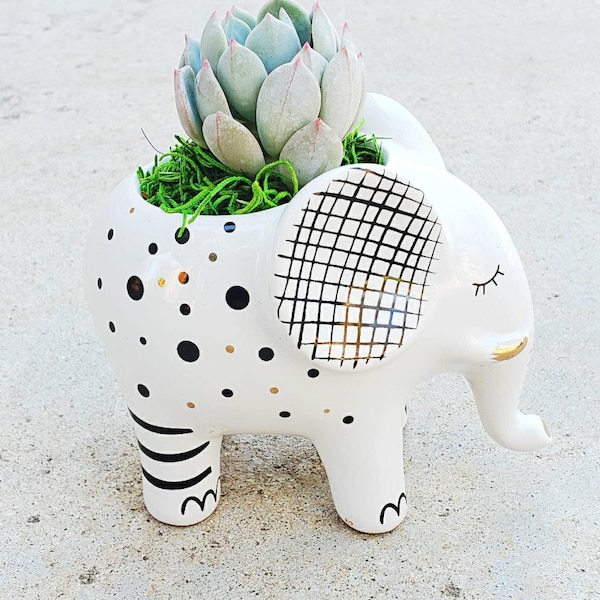 Beautiful ceramic Elephant planter pot with a real living succulent ! ( elephant planter, animal lover, gift)