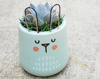 Bunny rabbit ceramic planter pot with real living succulent plant
