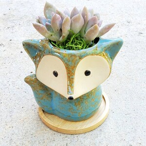 May include: A blue ceramic fox planter with a white face and black eyes. The planter is filled with a succulent plant with light purple leaves.
