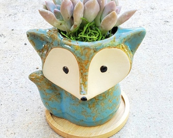 Cute turquoise/brown Fox animal planter pot with living succulent  ( birthday, gift)